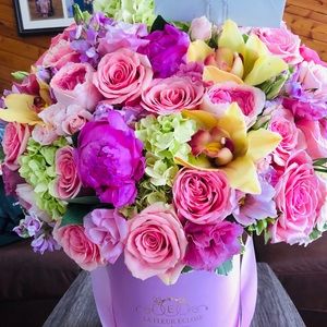 Meet your Posher, Theresa